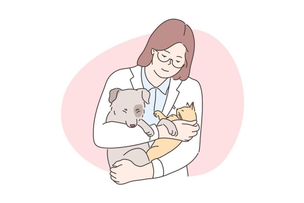 Vet Checked & Vaccinated